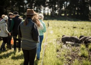 New Zealand-farm-tour3