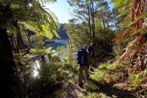 lake waikaremoana