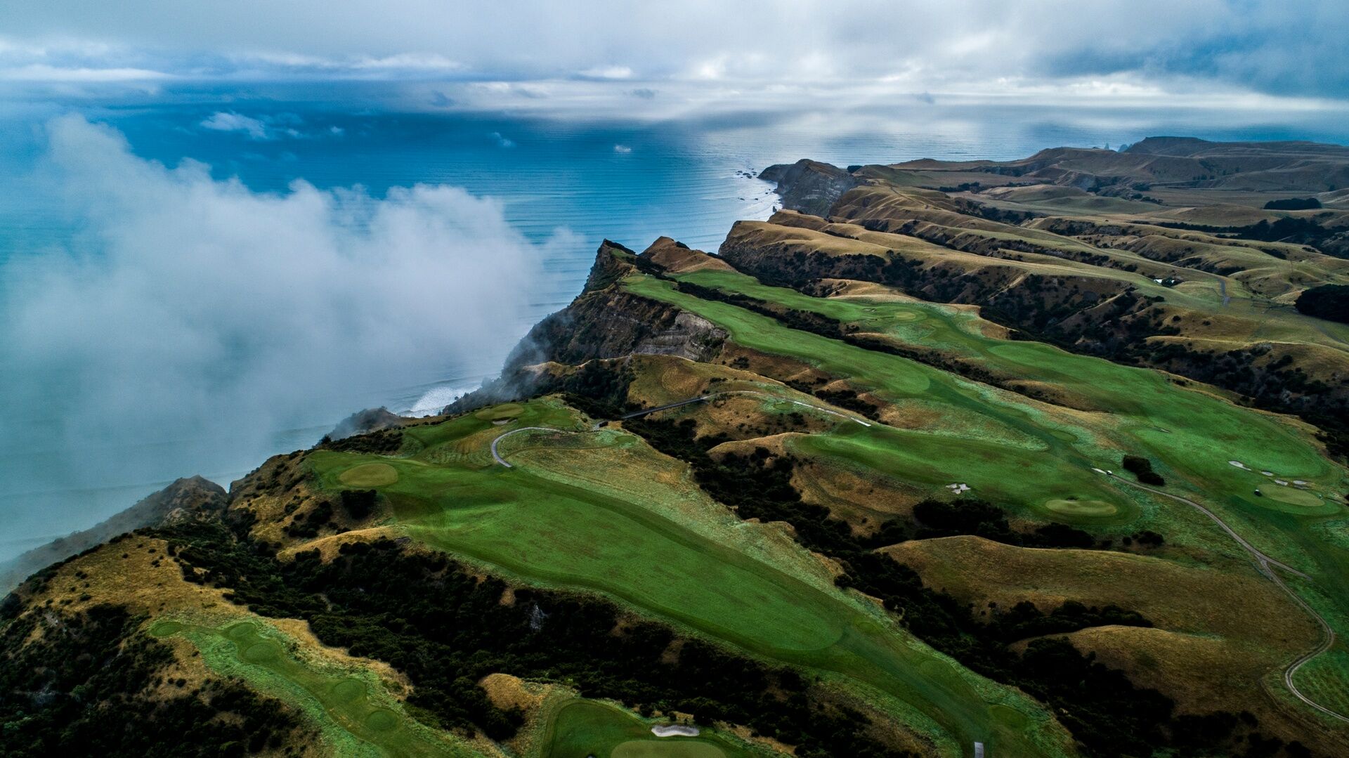 a beautiful view of cape kidnappers which is one of the best Hawkes bay activities!