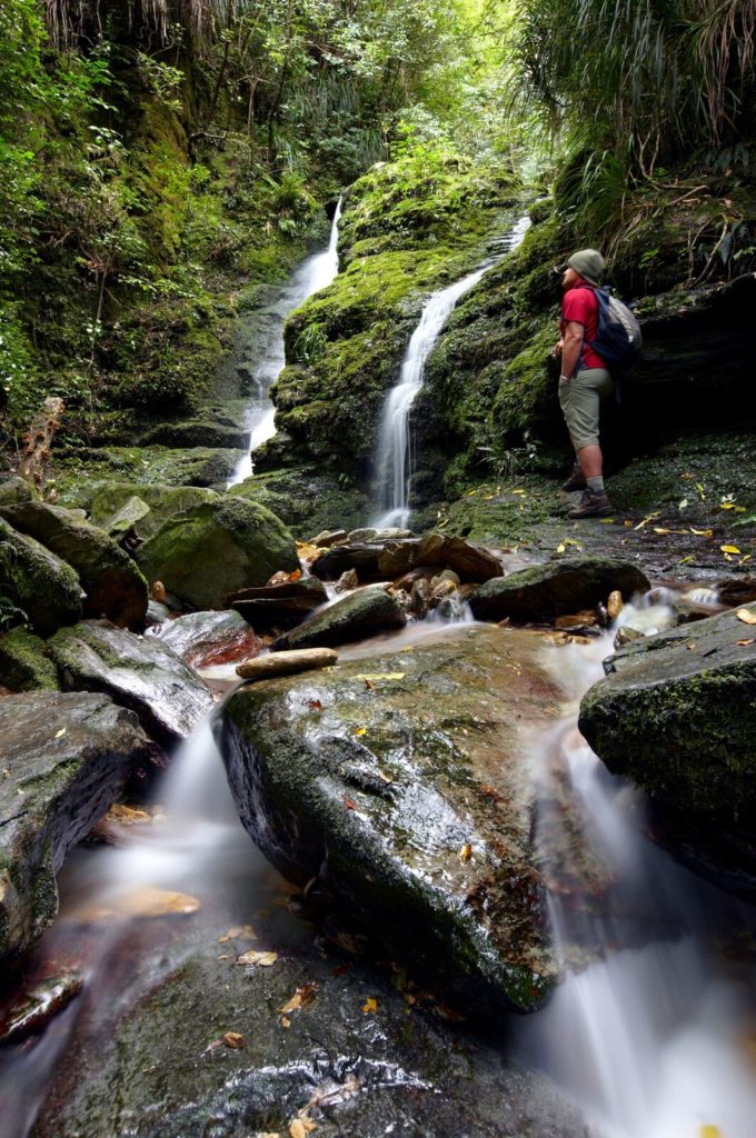 This is a photo of a stunning waterfall along Lake Waikaremoana tramp! 