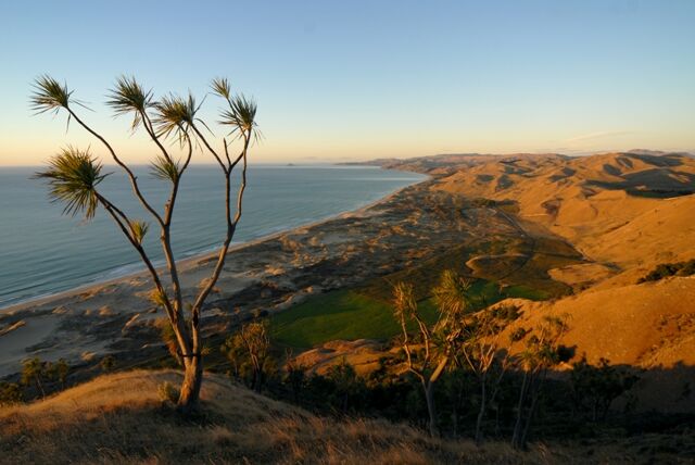 A stunning photo of Ocean Beach where you can take a horse trek! One of the ultimate Hawkes Bay Activities 